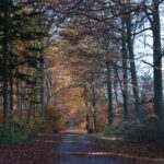 Analyzing the Role of Inclusive Sound User Journey Mapping in Car Audio Interfaces