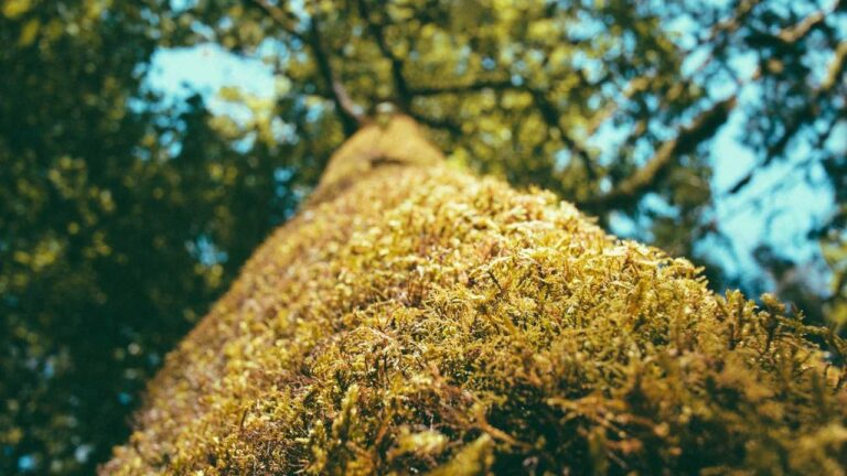 Is 11 X Play Com Offering Any Signup Bonuses This Month?